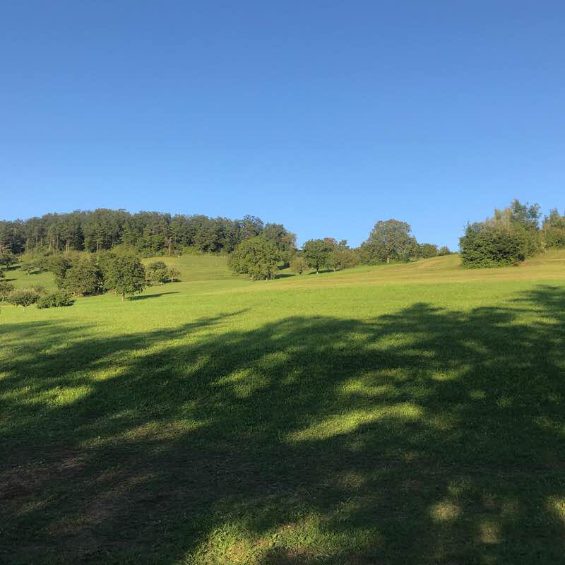 From Zeihen on the Homberg (viewpoint) walking route map in Zeihen