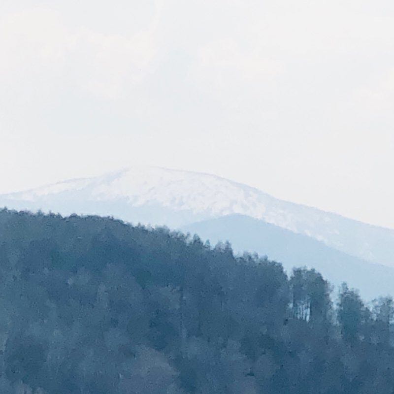 Maralnik Nikolskoye walking route map in Nikol'skoe