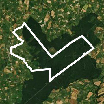 Path of the branch walking route map in Cerisy-la-Forêt