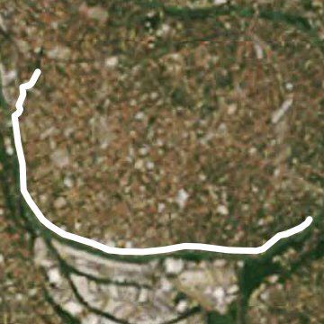 La promenade des chiens et de leurs maîtres