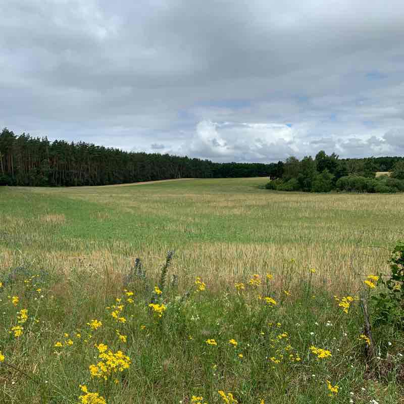 From goods to Boelker mill by bike walking route map in Waren (Müritz)