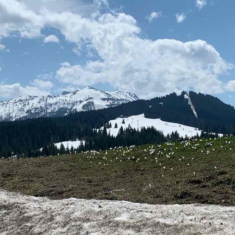 Store moosalm walking route map in Reit im Winkl