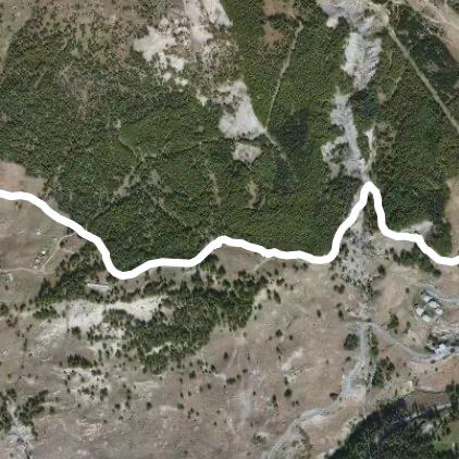 Camminata sulla prima neve