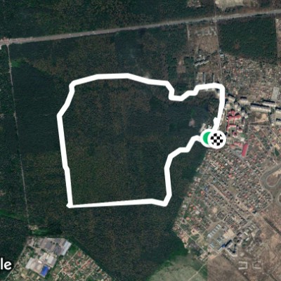 Magic wood - Бударина