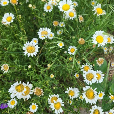 Matt S🏃‍♂️🏃‍♂️🏃‍♂️⏪🚶‍♂️ post 3