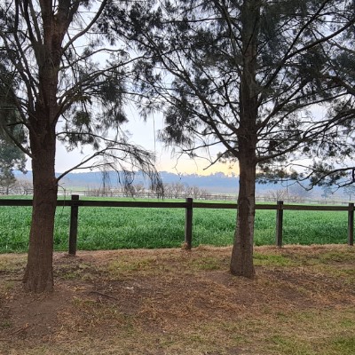 David Dunshea post 3