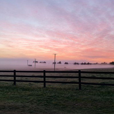 David Dunshea post 1