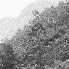 nepal profile