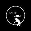 dzikie dziki 🐗 - spacer z psem logo