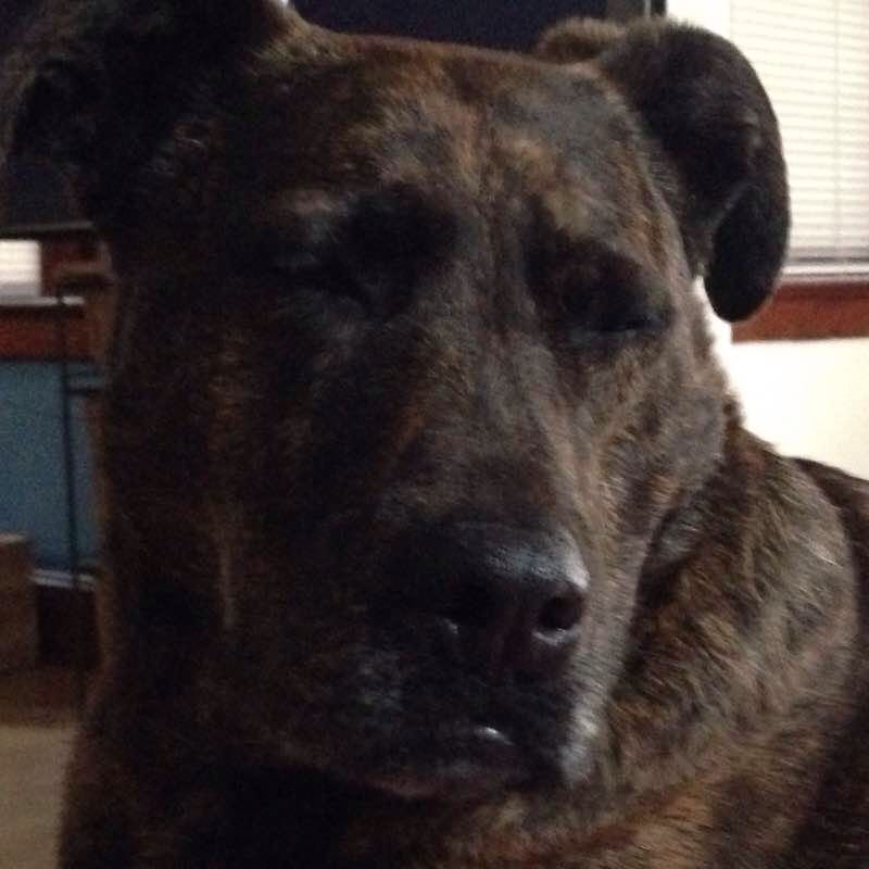 Moreland/Starbucks/Hyde park walking route map in Waukesha