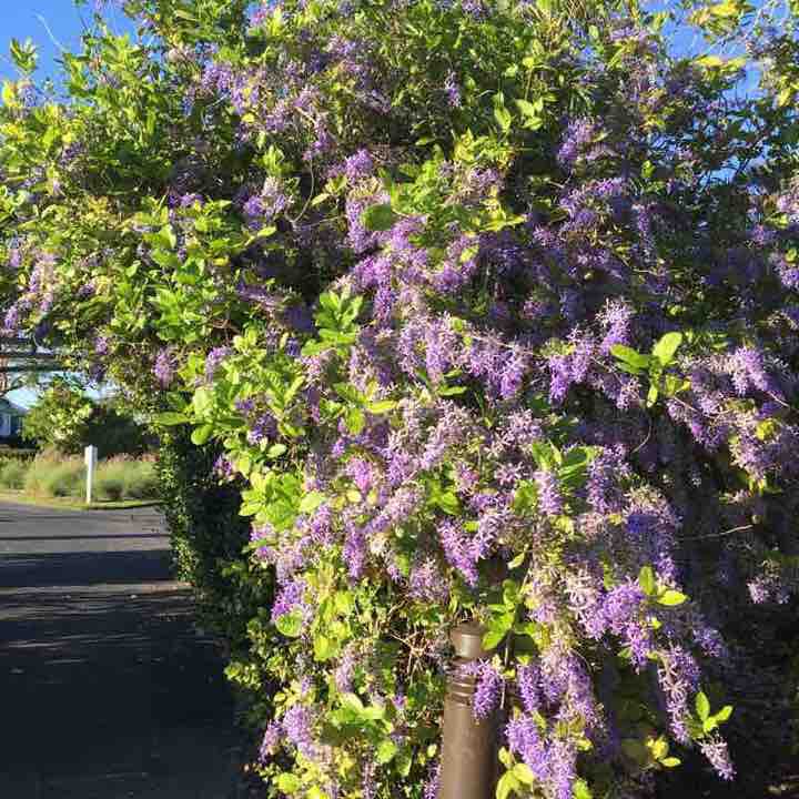 Mackle Park walking route map in Marco Island
