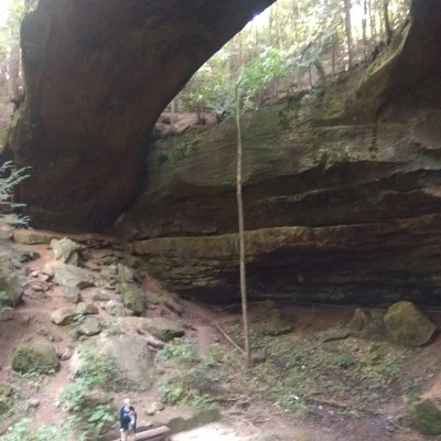 Wildcat post 1