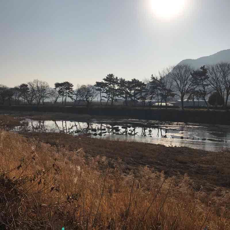 Suqing Kang walking route map in Sacheon