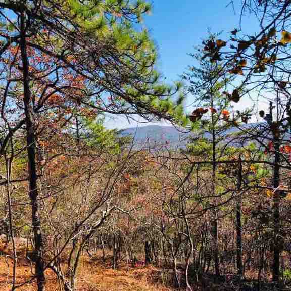 Nubbin Creek trailhead walking route map in Lineville