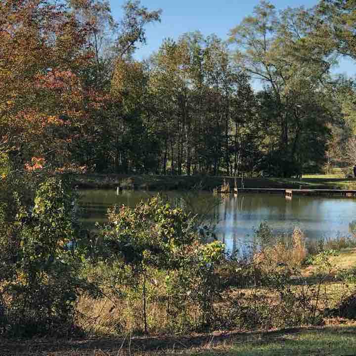 Alexander Mountain walking route map in Lineville