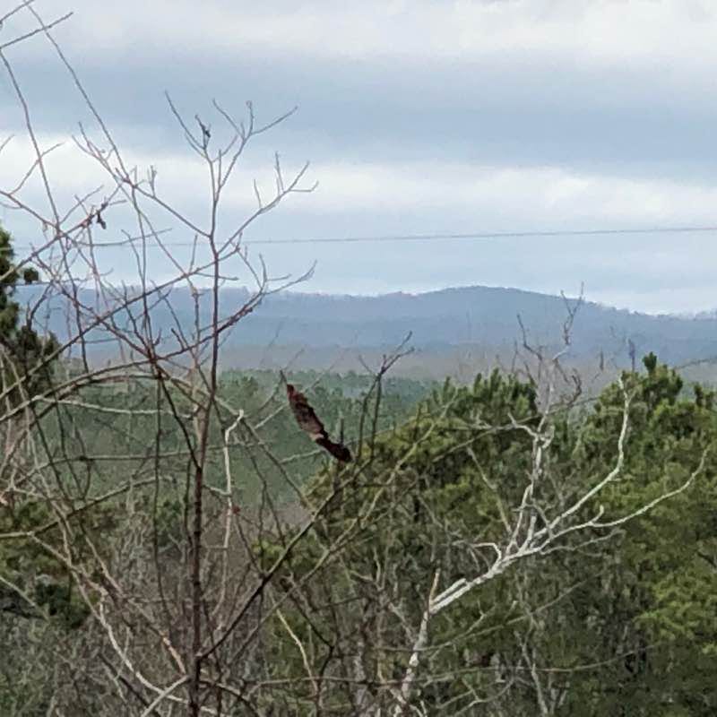 Alexander Mountain walking route map in Lineville