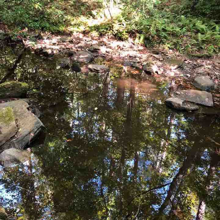 Nubbin Creek Trail walking route map in Lineville