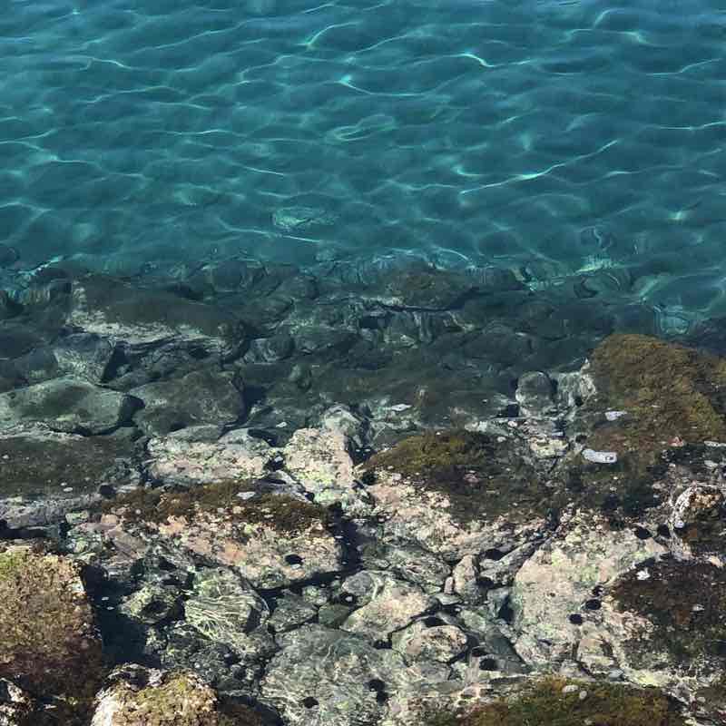 Ligure walking route map in Santo Stefano al Mare