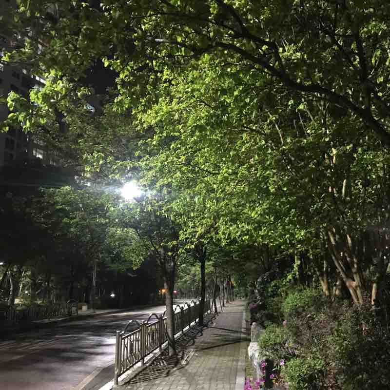 숲이 좋은 산책길~~ 만보걷기 딱!!