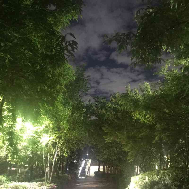 중랑천 둔치기ㄹ