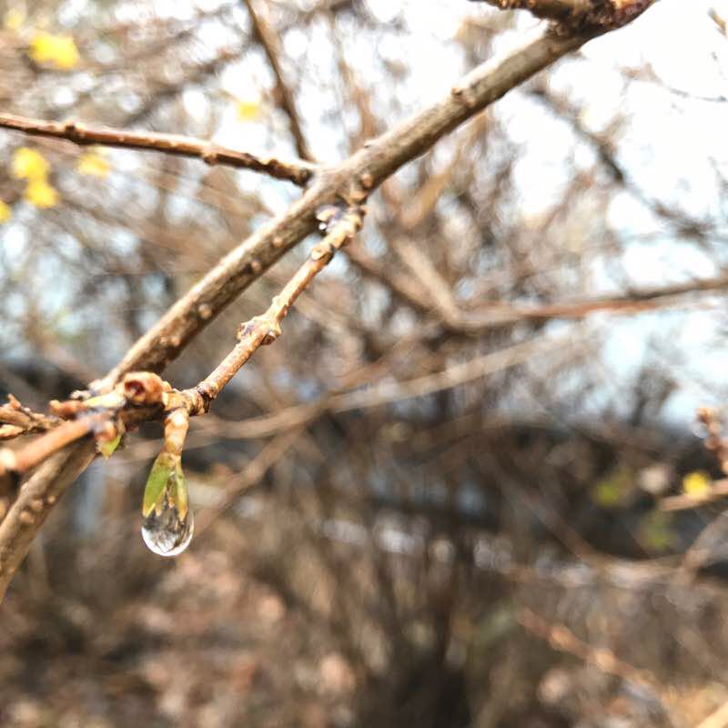 감지해변산책ㄹㅗ