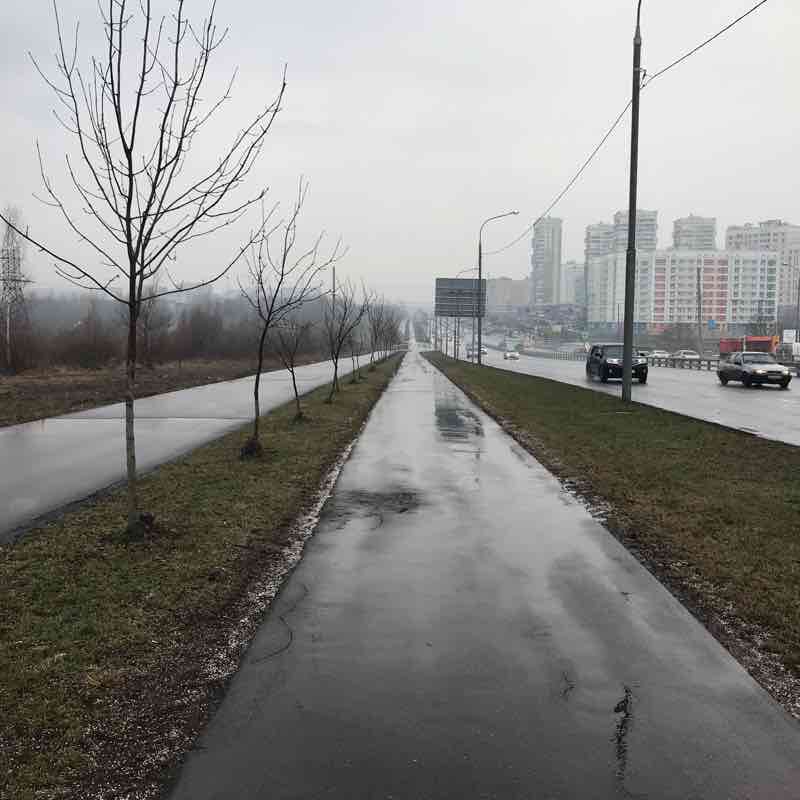 Туда и обратно (1) 