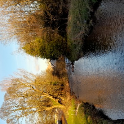 leonieladybug12 post 3