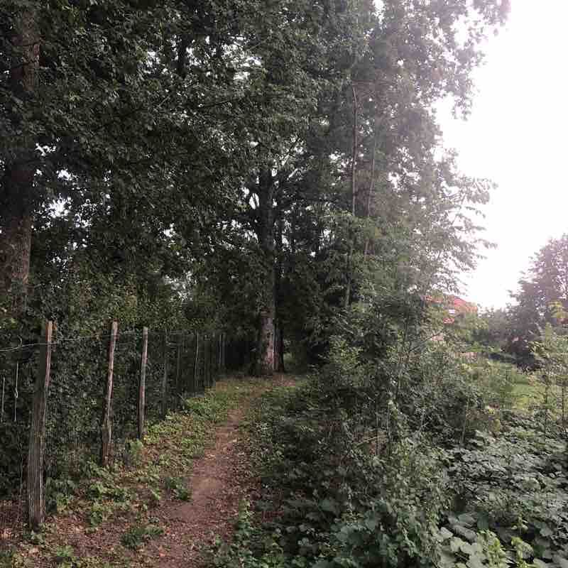 In the woods walking route map in Archamps