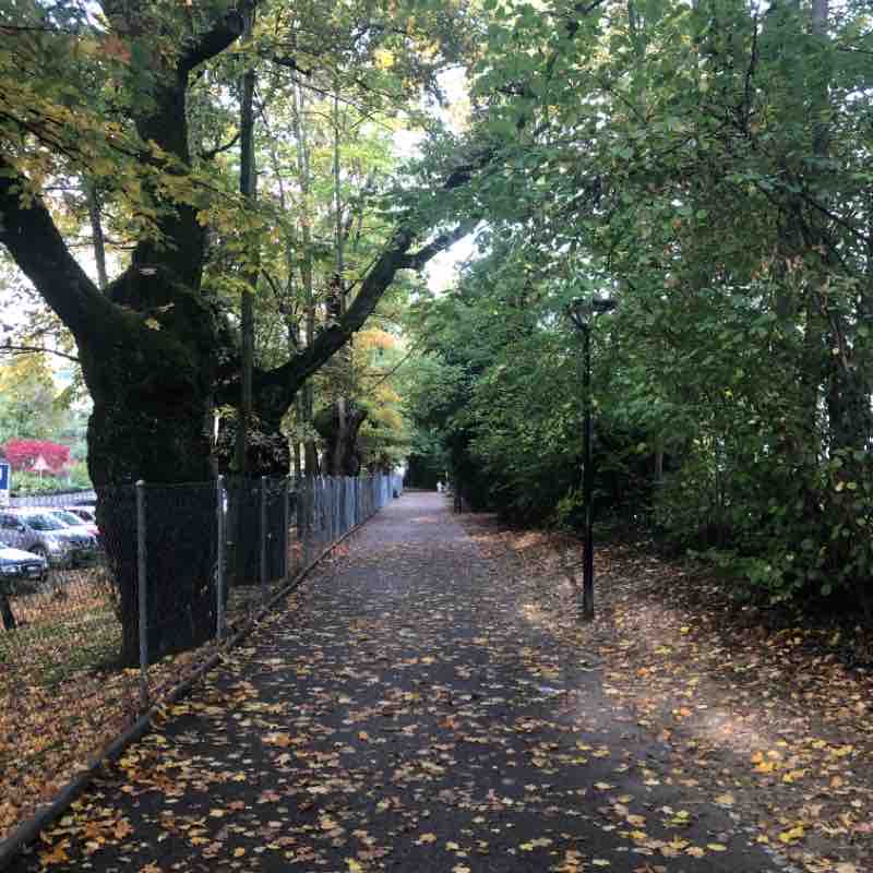 Geneve Champel - Lac walking route map in Conches