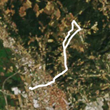 america boschi/Bra popolari 