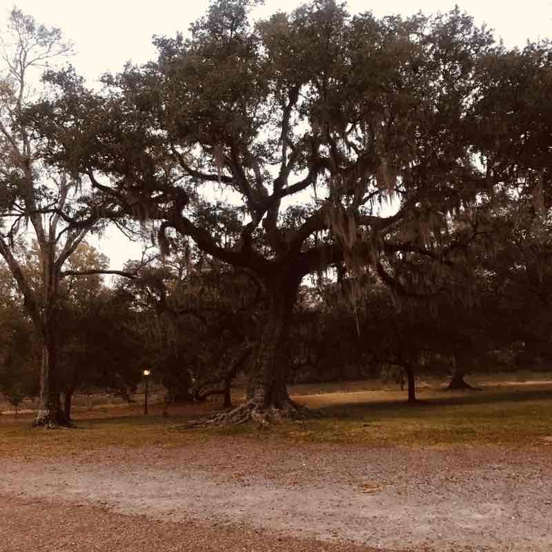 Bayou Run walking route map in New Iberia