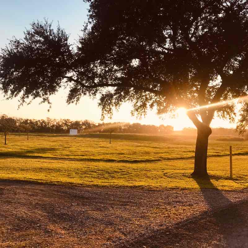 Jungle Gardens walking route map in Avery Island