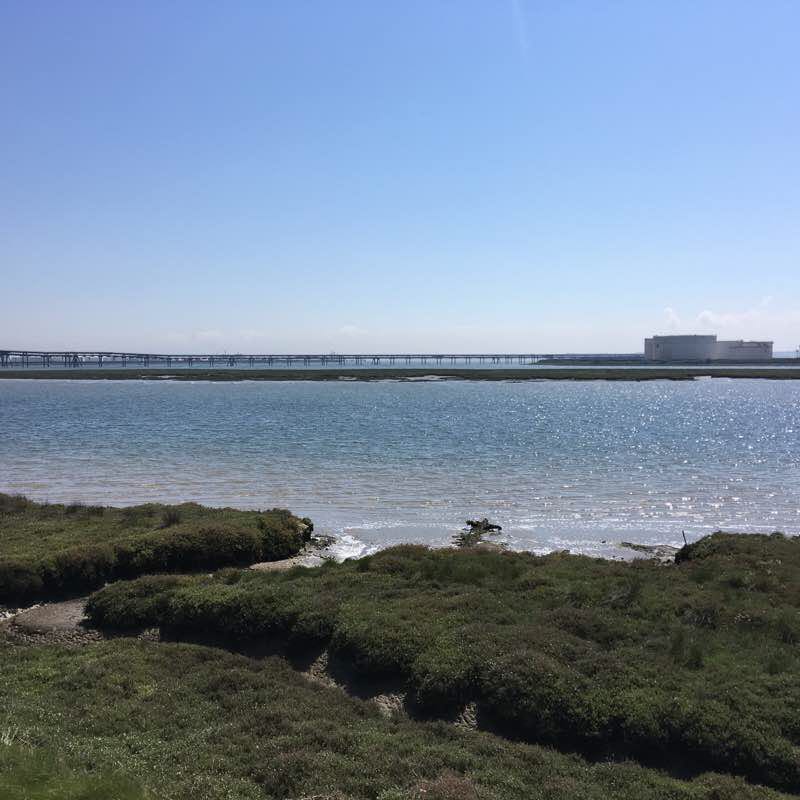 Canvey seawall West