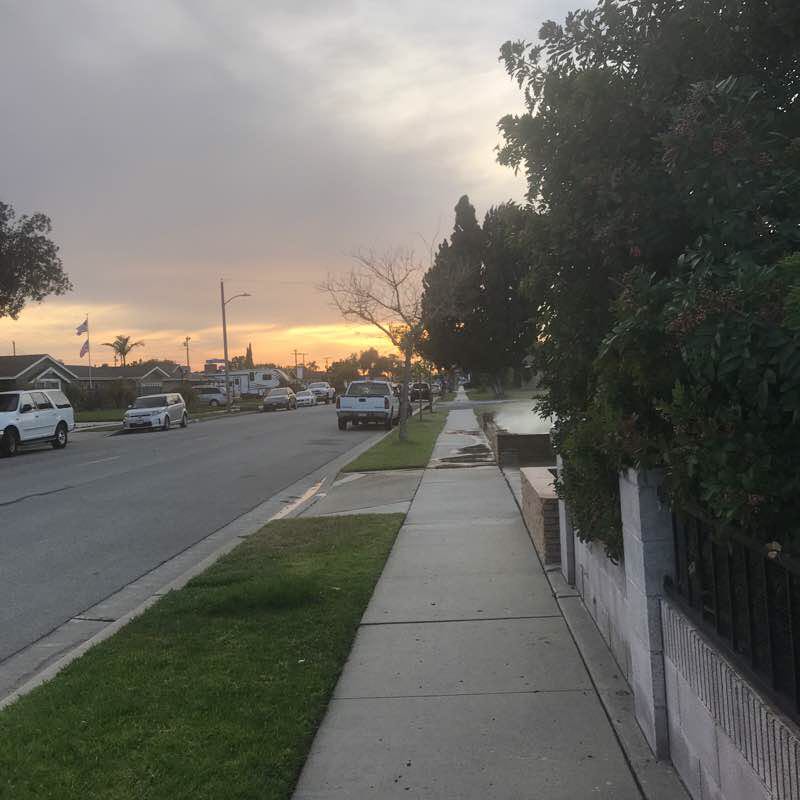 Buena Terra Elementary 