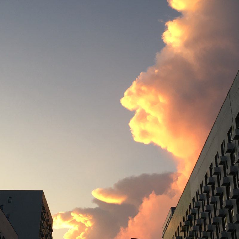 Бунинские луга