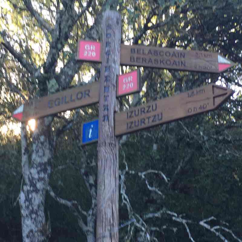 Echauri pass to Txarakardia (945 m) walking route map in Ciriza