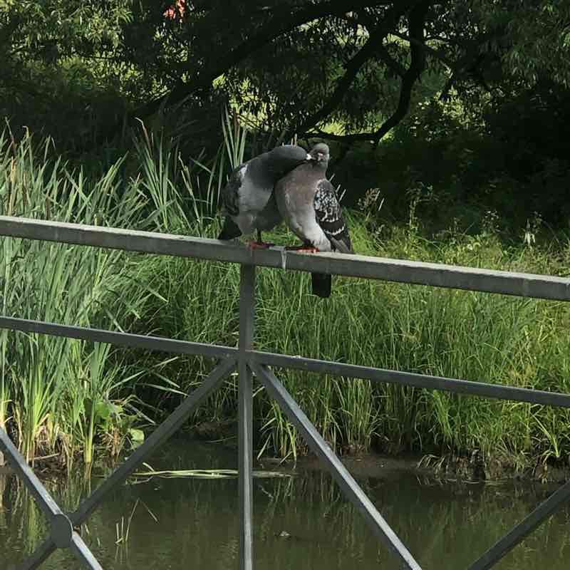 Яуза-Мытищи