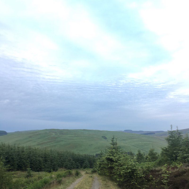 Wester Essenside walking route map in Ashkirk
