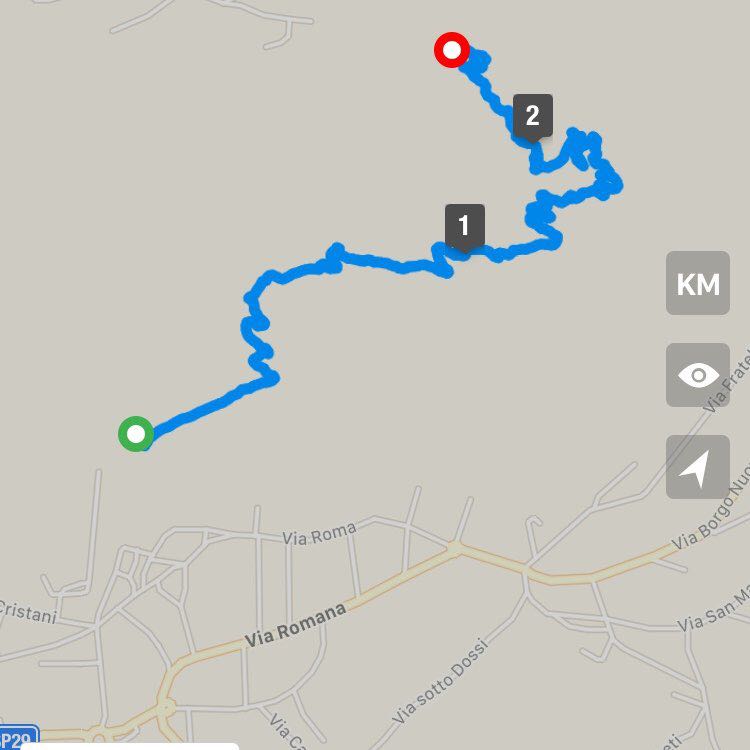 Trail 500 Mount Mezzocorona walking route map in Mezzocorona