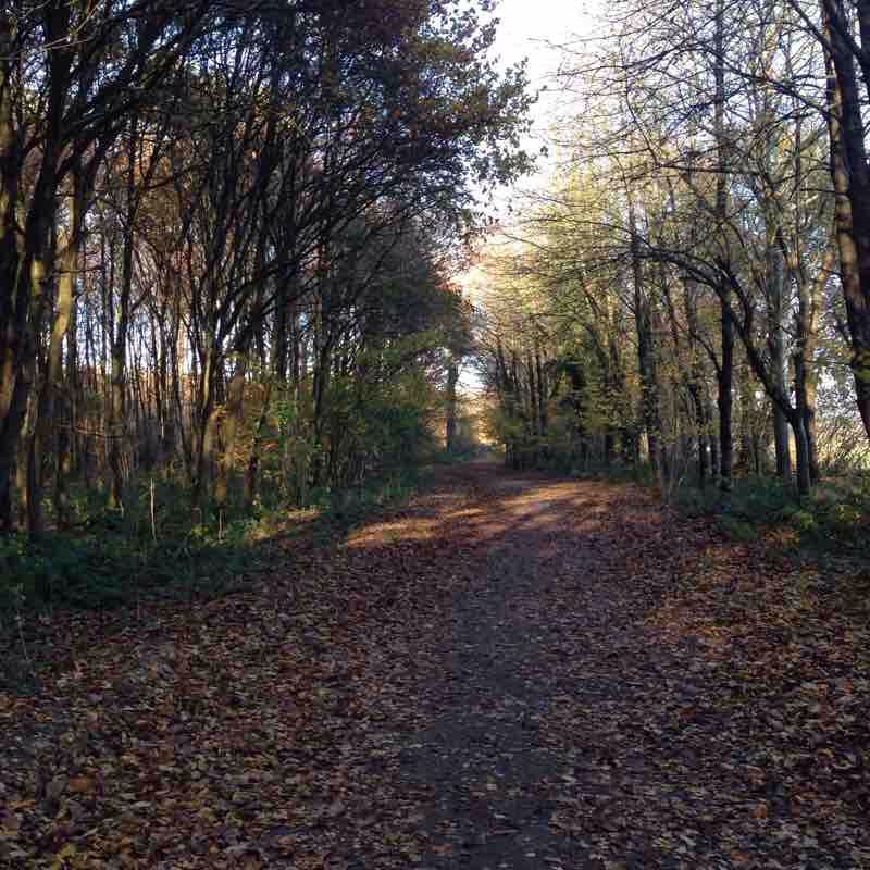 Trail at the seaside walking route map in Notre-Dame-de-Monts