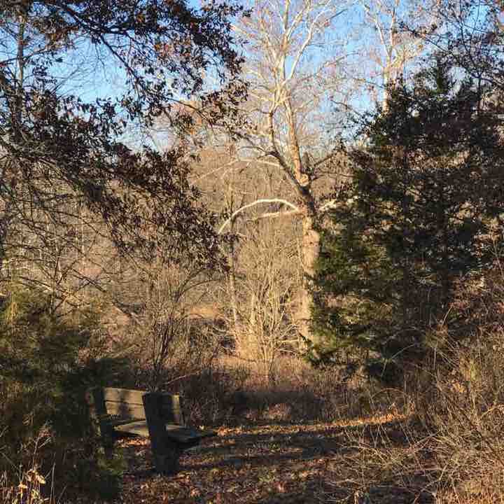 Hinkson Creek Woods