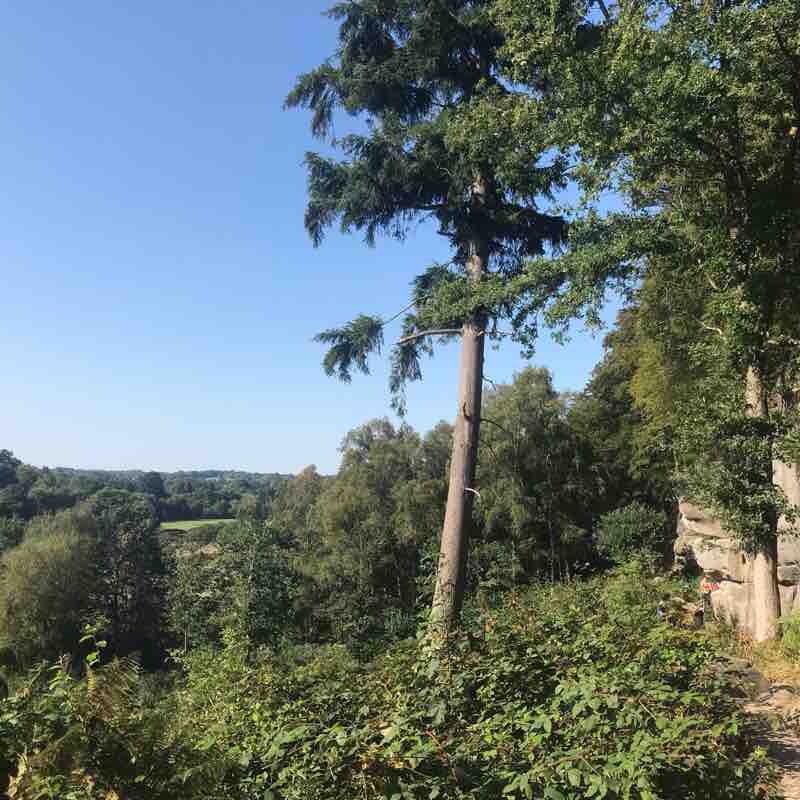 Crowborough to Speldhurst via Harrison’s Rocks walking route map in Crowborough