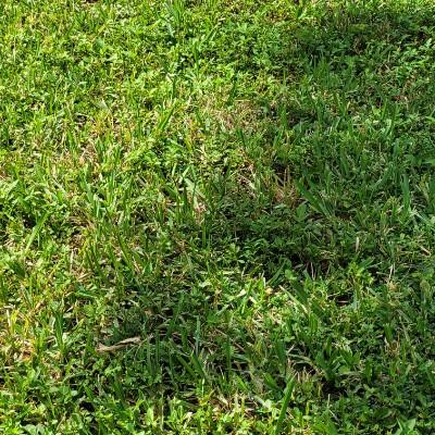 PersonManGaming post 1