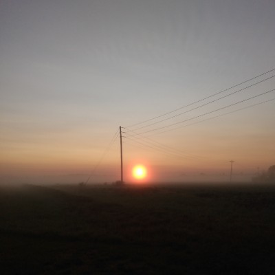 Mr. WALKer ♊👅♥️🦴anyou post 3