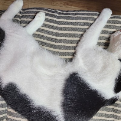 🍀해랑🍀 post 3