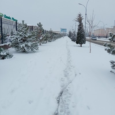 solo travellers Bobur Bakhromzoda🇺🇿 post image