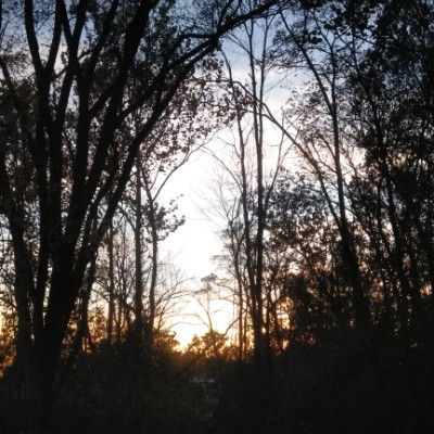 Miss Krystal 👣 post 1