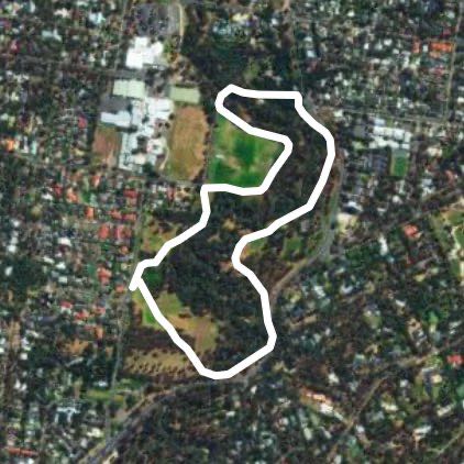 Morning school drop off