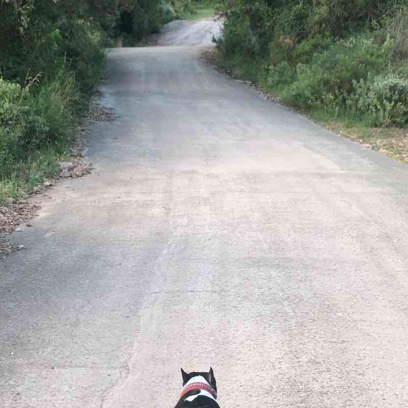 Source of Goats walking route map in Nules