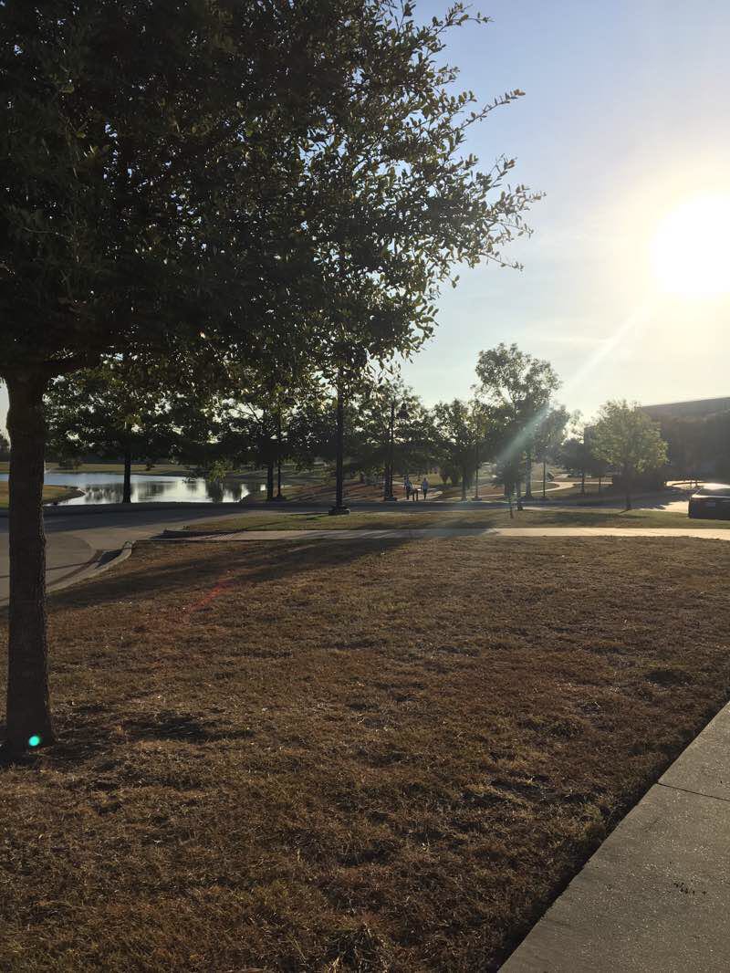 walking near me on Recreation Center walking route